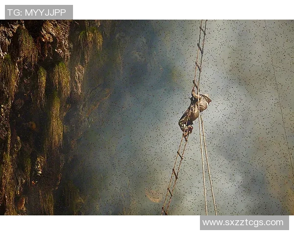 攀岩深度探索：揭秘杭州攀岩队的训练与控制技巧