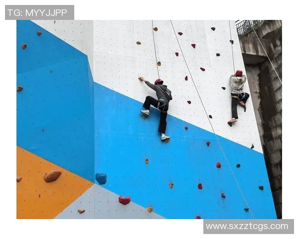 武汉飞盘队在攀岩联赛中的速度表现分析与点评