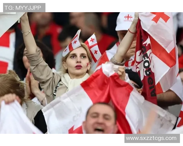 法国与比利时精彩对决集锦回顾球迷不容错过的瞬间