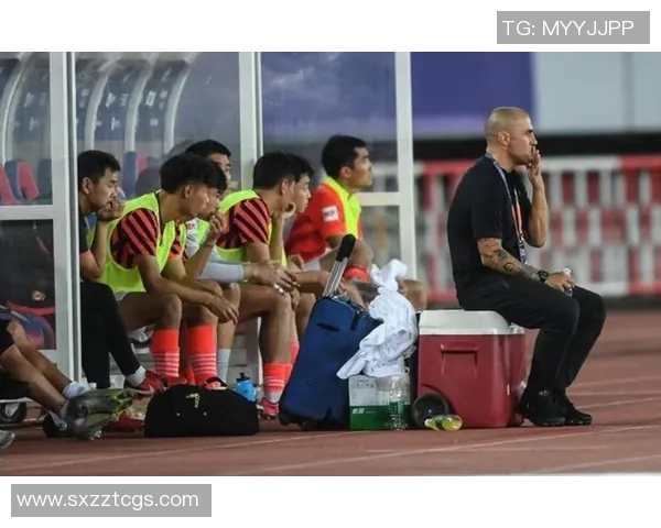 杭州乒乓球队战术引发热议球迷与专家各抒己见的背后真相